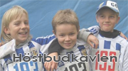 H�stbudkavlen 2009